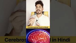 Cerebrospinal fluid in Hindi and Function brain anatomy skål [upl. by Llerrej]