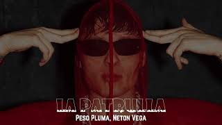 LA PATRULLA  Peso Pluma Neton Vega [upl. by Aneehsal]