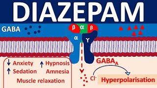 Diazepam  Mechanism side effects precautions amp uses [upl. by Kliber816]