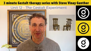 The Gestalt Experiment • 3 minute Gestalt series 12 [upl. by Ainyt288]