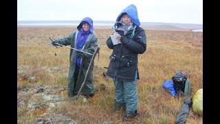 Expedition to Tiksi September 2018 [upl. by Anerol]