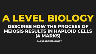 Guaranteed 4 Mark Meiosis Practice Question  A Level Biology [upl. by Aitan]