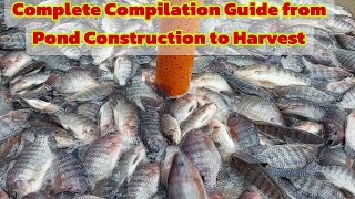 How to Start Biofloc Technology in Tilapia Complete Guide from Pond Construction to Harvest [upl. by Etnoel]