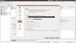 qBittorrent options [upl. by Ahseuqal419]