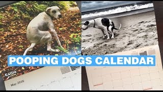 Pooping Dogs Calendar [upl. by Hawk]