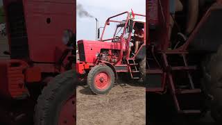 MTZ 50 VS MTZ 50 [upl. by Astrix263]