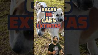 Raças de cães extintas [upl. by Einna]