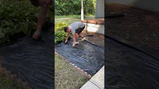 Yard transformation lawncare lawnmaintenance lawn yard landscaping Transformationsatisfying [upl. by Koziarz]