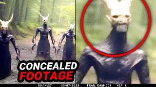 Shocking Trail Cam Discovery Disturbing Encounters Recorded [upl. by Einahpad]