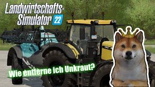 LS25 Unkraut entfernen  Wie entferne ich Unkraut im LS25  LS25 Tutorial [upl. by Neersan665]