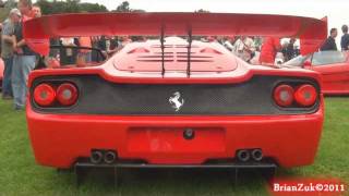 Ferrari F50 GT1 Revving [upl. by Maire]