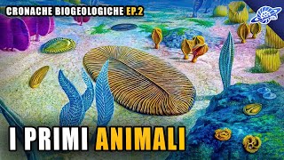 I Primi Animali  Proterozoico  Cronache Biogeologiche Ep 2 [upl. by Annaegroeg23]