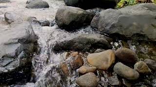 Calming River Flow Over Stones Soothing Sounds for Inner Balance and Restful Nights [upl. by Aisatnaf]