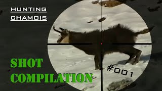 Shot COMPILATION 001 [upl. by Ciredec]