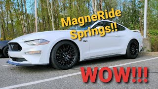 2019 MUSTANG GT WITH MAGNERIDE GETS SOME STEEDA SUSPENSION UPGRADES [upl. by Lyris]