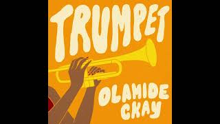 Olamide CKay  Trumpet Instrumental [upl. by Eneleh]