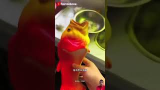 Fish 🐠 Slipper 🥿  New Viral Gadgets Smart Appliances Kitchen Utensils Home Inventions shorts [upl. by Silvano]