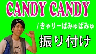 【反転】きゃりーぱみゅぱみゅ CANDY CANDY サビ ダンス 振り付け [upl. by Amoihc]