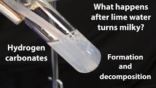 After lime water turns milky hydrogen carbonates bicarbonates formation and decomposition HCO3 [upl. by Tace]