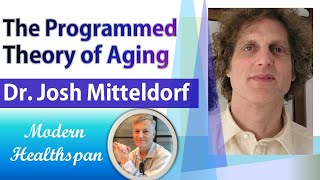 The Programmed Theory of Aging  Dr Josh Mitteldorf Interview Series Ep2 [upl. by Acisset202]