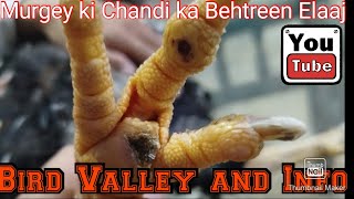 Murgey ki Chandi ka Behtreen Elaaj  Chicken Corn Treatment [upl. by Seed658]