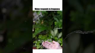 HOW and WHY Frequency Affects Water [upl. by Laumas]