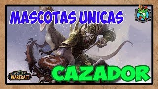 Mascotas UNICAS Cazador  World of Warcraft [upl. by Yrakaz]