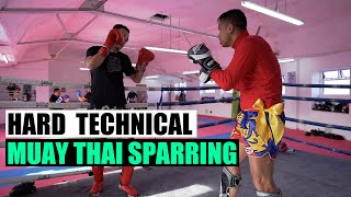 Hard amp Technical Muay Thai Sparring  Siam Boxing [upl. by Normalie232]