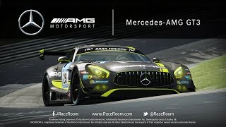 RaceRoom  Mercedes AMG GT3 [upl. by Yankee380]