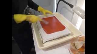 Photogravure Brush Sensitizing Process [upl. by Sirrad141]