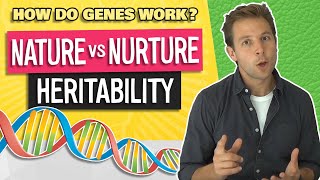 Nature vs Nurture Debate Heritability vs True Ability Video 34 [upl. by Nievelt606]