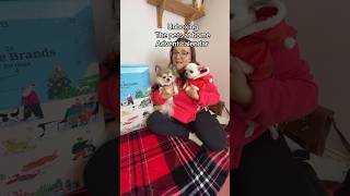 Doggie Advent Calendar unboxing from Pets at home [upl. by Namharludba]