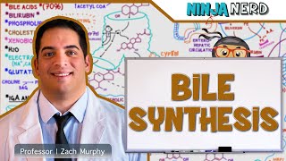 Gastrointestinal  Bile Synthesis [upl. by Gildas]