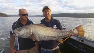 IFISH Hawkesbury Mulloway [upl. by Eelarual760]