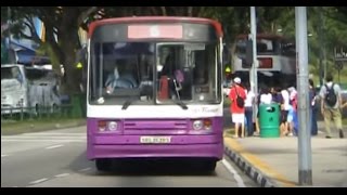 Farewell Tribute SBS Transit Scania N113CRB NonAircon [upl. by Ruthanne]