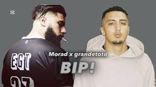 ELGRANDETOTO BIP FEAT MORAD [upl. by Yrrep367]