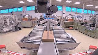 Innovative automation with RC1 Cobot Palletizer from REITEC [upl. by Barrett]