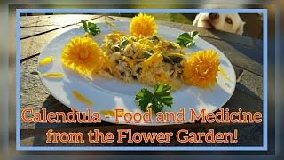 Calendula Description  Edible Flower with Medicinal Benefits [upl. by Schlenger]