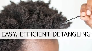 How To Easily Detangle Natural Hair [upl. by Kally26]