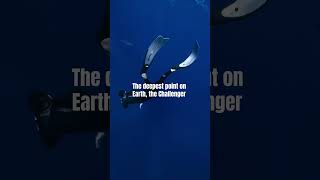 Shocking Facts About the Deep Ocean You Wont Believe 🌊🤯shorts facts [upl. by Chem782]