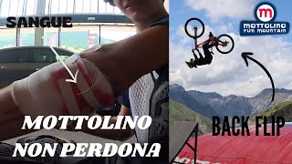 Il weekend PIU pazzo di sempre al mottolino bike park  FINITO MALE [upl. by Anaul]