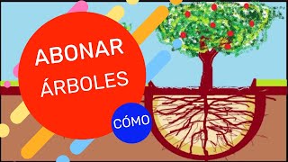 ABONAR MIS ÁRBOLES CÓMO CUÁNTO Y CUÁNDO [upl. by Nabetse152]