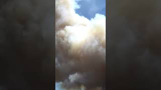 Large growing wildfire prompts evacuations in central Oregon Shorts [upl. by Hilaire]