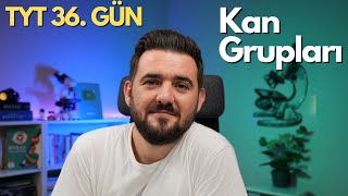 Kan Grupları  39 Günde TYT Biyoloji Kampı  36 GÜN  yks2025 [upl. by Tohcnarf]