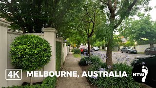 Walk around the streets of Toorak in Melbourne Australia  Ambient city sounds  4K [upl. by Burner]