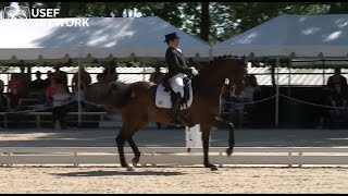 What does a passage look like in Dressage [upl. by Amek]