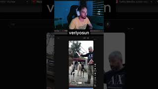 Kangal Nasıl Beslenmez twitch twitchtw [upl. by Ahtanamas]