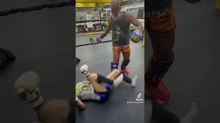 muaythai mma kikboxing thailand [upl. by Nilved]