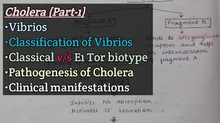 CholeraPart1  Vibrios  Classification of Vibrios  Pathogenesis of cholera  Clinical features [upl. by Htabmas]