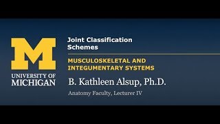 Joints Classification Schemes [upl. by Ursola511]